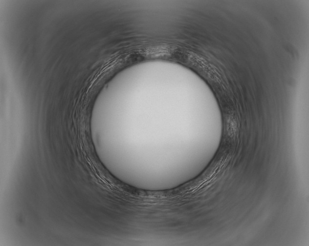 X0000114411393200910161021