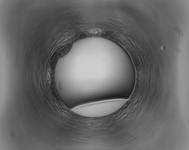 X0000114411394200910161021