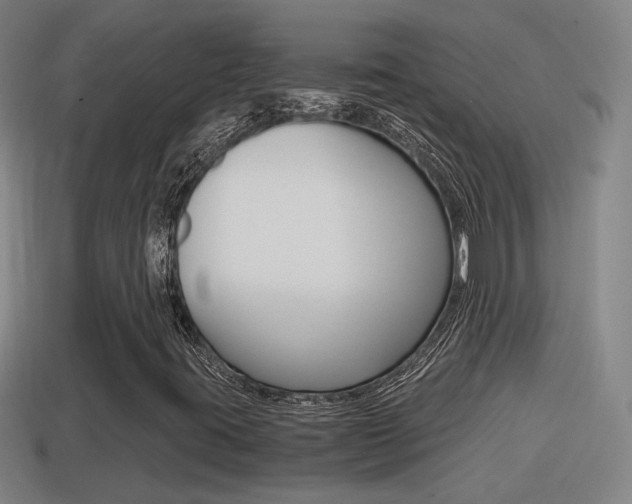 X0000114411395200910161021
