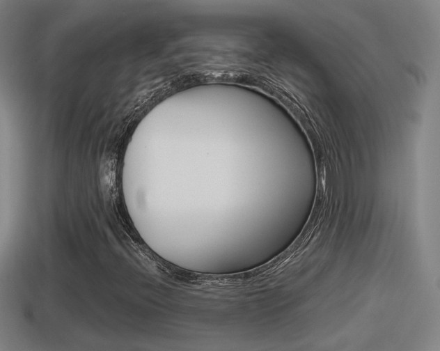 X0000114411396200910161021
