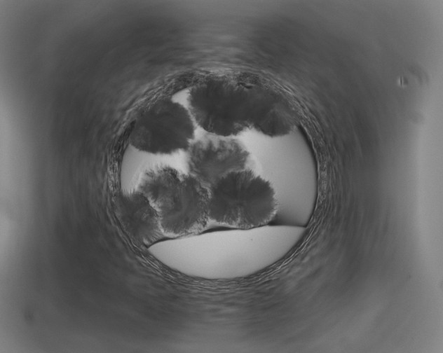 X0000114411397200910161021