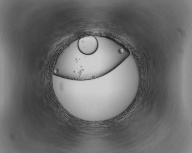 X0000114411398200910161021