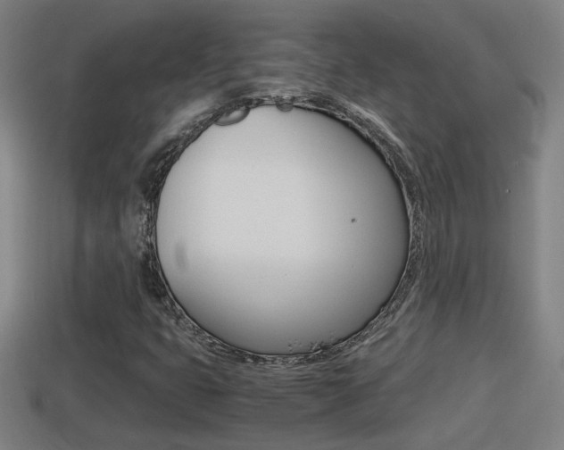 X0000114411399200910161021