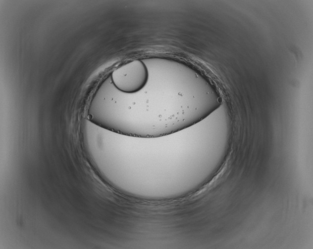 X0000114411402200910161021