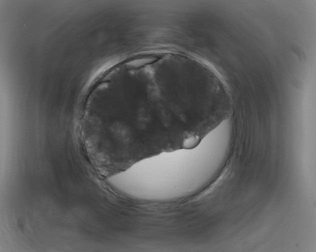 X0000114411405200910161021
