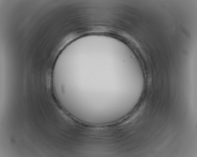 X0000114411409200910161021