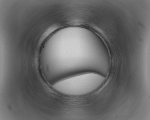 X0000114411410200910161021