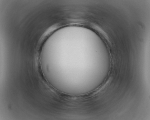 X0000114411411200910161021