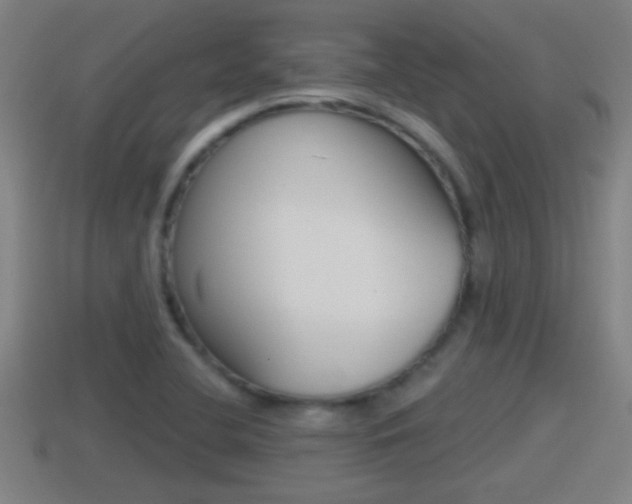 X0000114411412200910161021