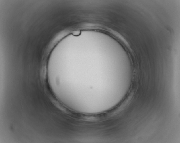 X0000114411413200910161021