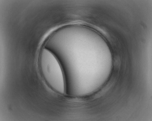 X0000114411414200910161021