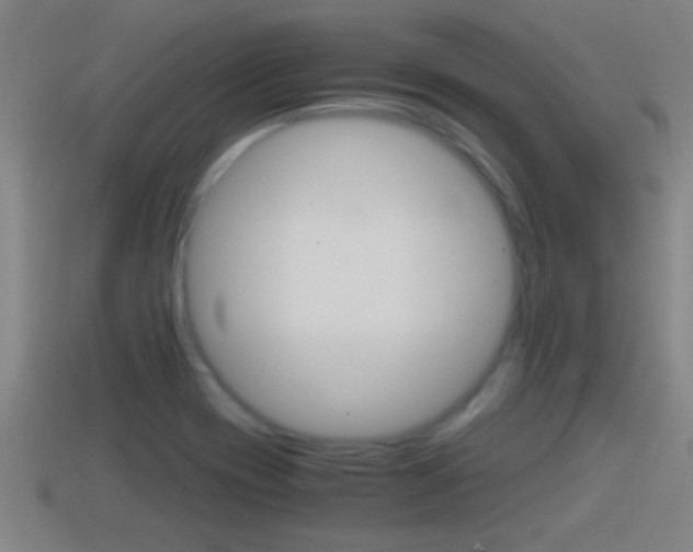 X0000114411417200910161021