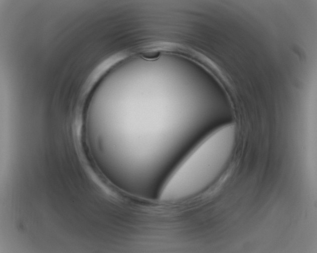 X0000114411418200910161021