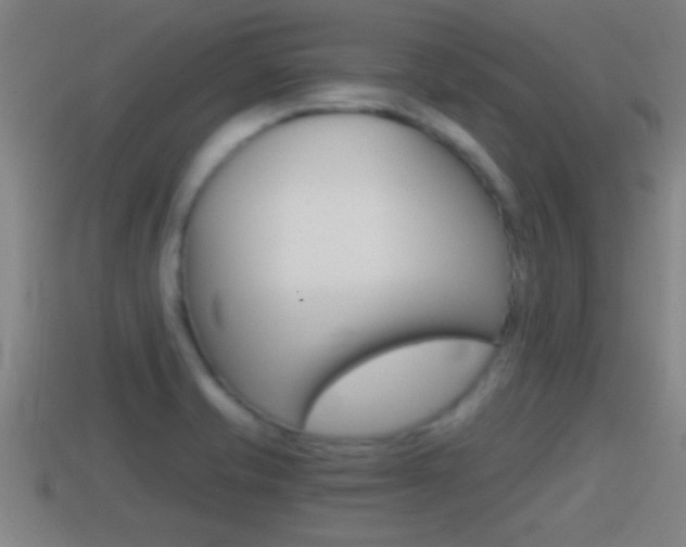 X0000114411421200910161022
