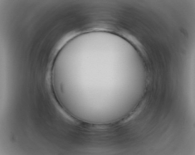 X0000114411423200910161022