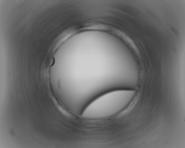 X0000114411425200910161022