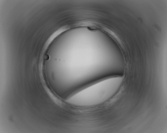 X0000114411426200910161022