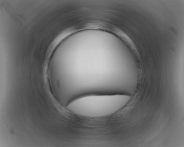 X0000114411427200910161022