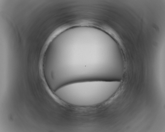 X0000114411429200910161022