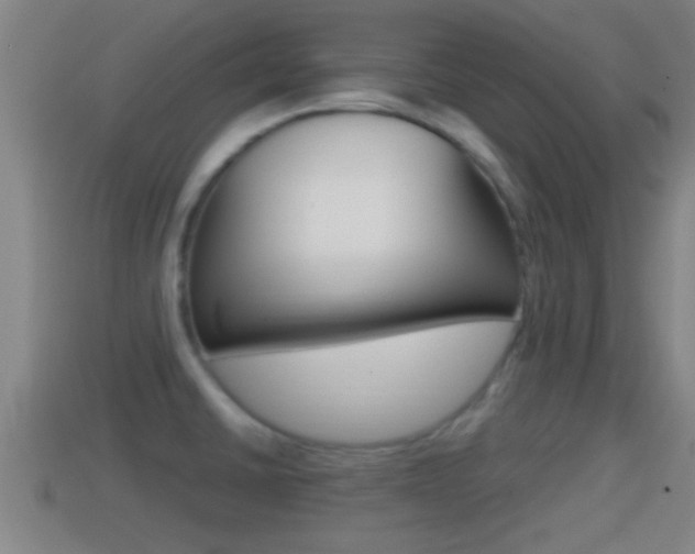 X0000114411430200910161022