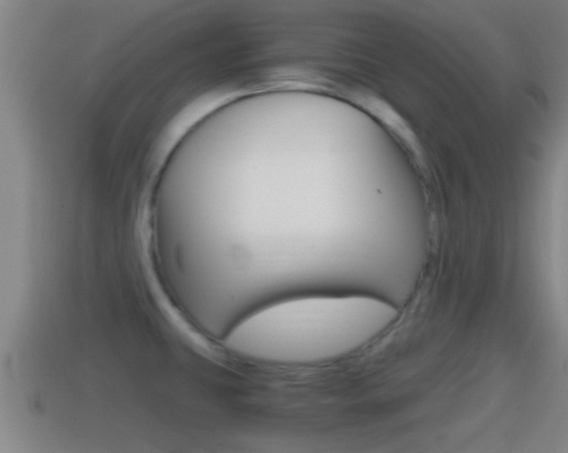 X0000114411431200910161022