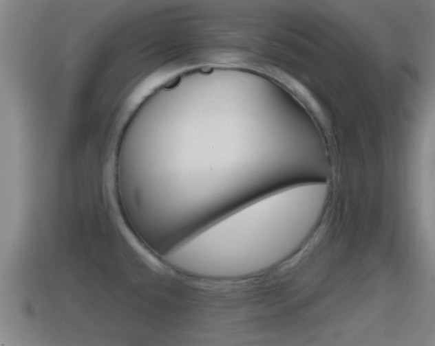 X0000114411432200910161022
