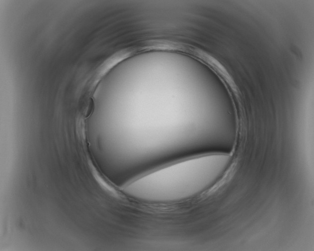 X0000114411433200910161022