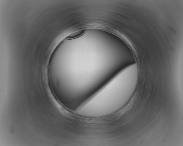 X0000114411434200910161022