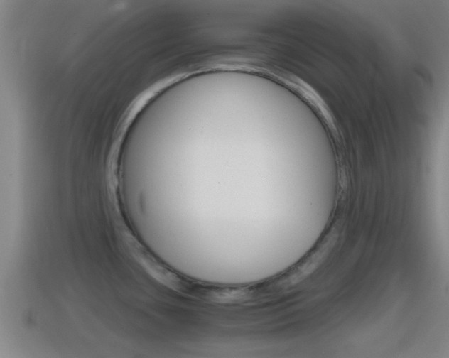 X0000114411435200910161022