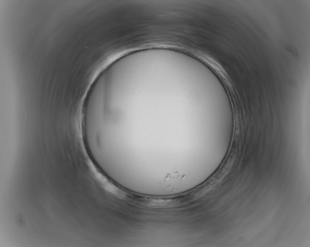 X0000114411439200910161022