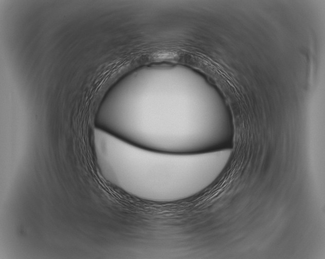 X0000114411441200910161021
