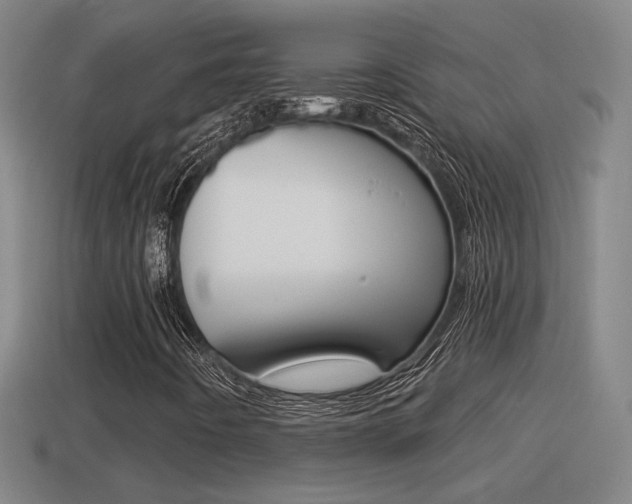 X0000114411442200910161021