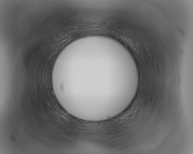 X0000114411444200910161021