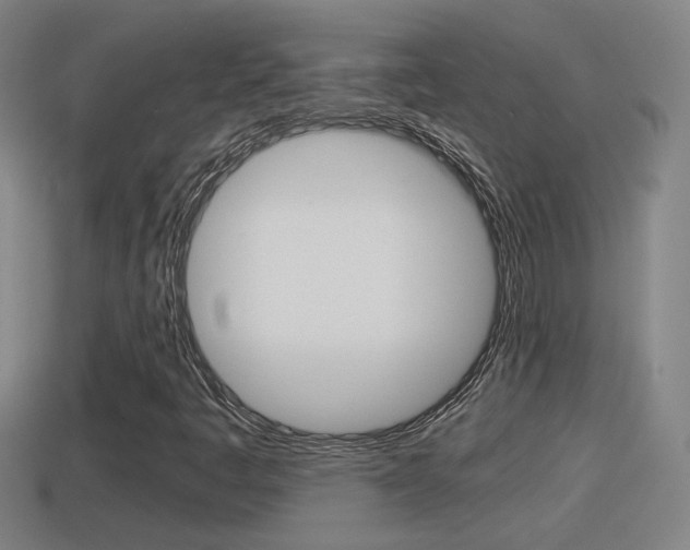 X0000114411445200910161021