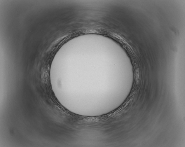 X0000114411446200910161021
