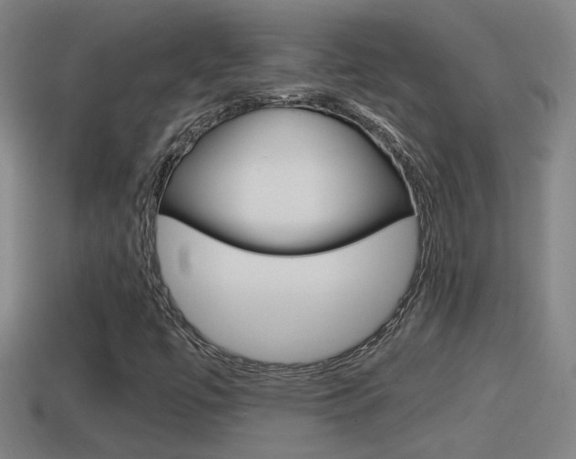 X0000114411447200910161021