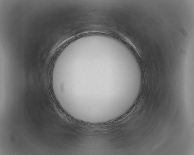 X0000114411448200910161021