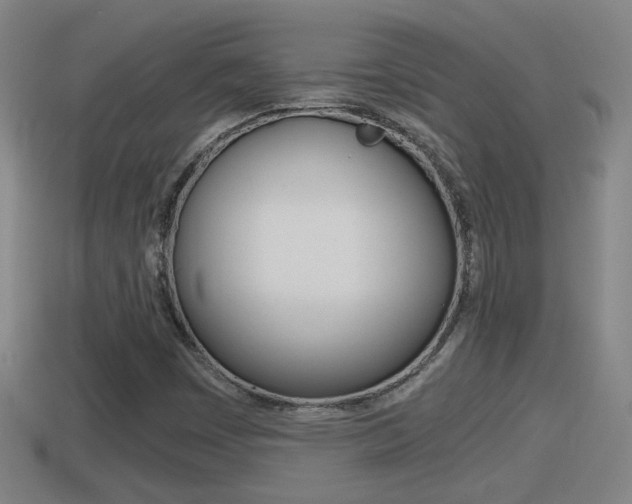 X0000114411449200910161021