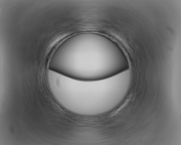 X0000114411453200910161021