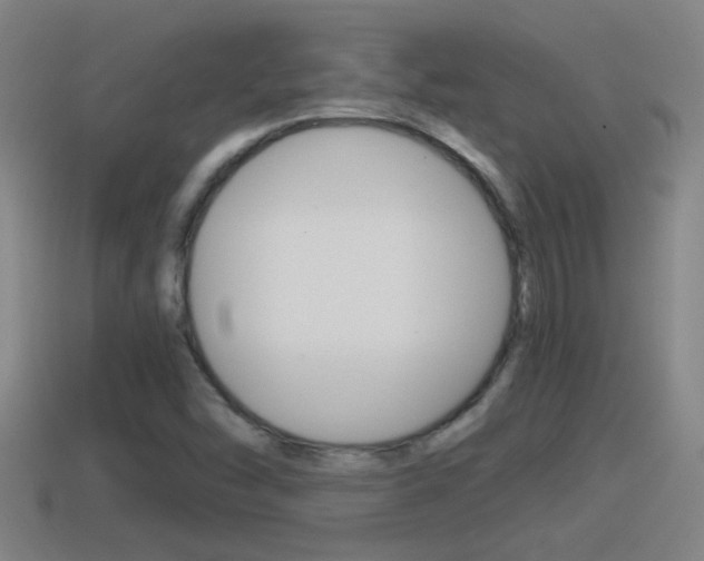 X0000114411454200910161021