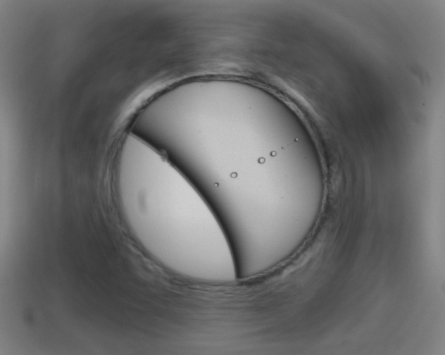 X0000114411455200910161021