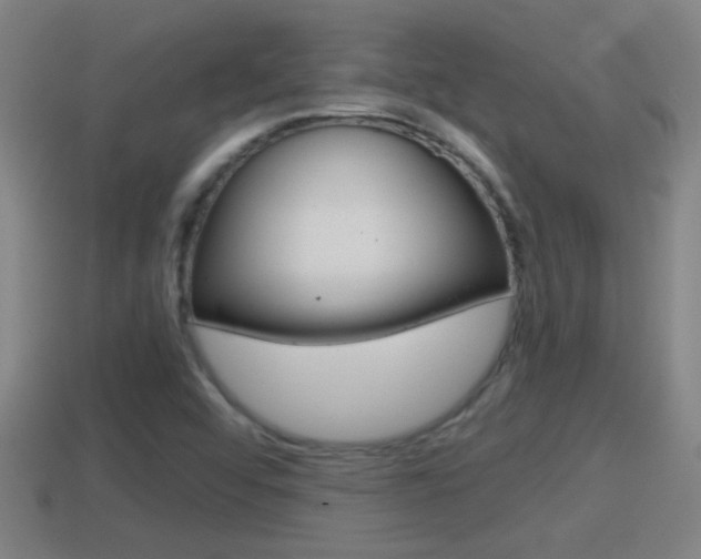 X0000114411456200910161021