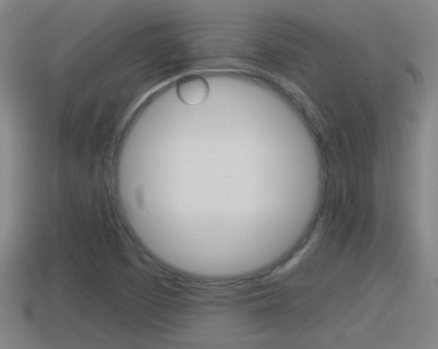 X0000114411457200910161021