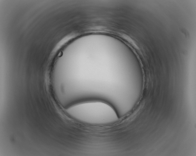 X0000114411458200910161021
