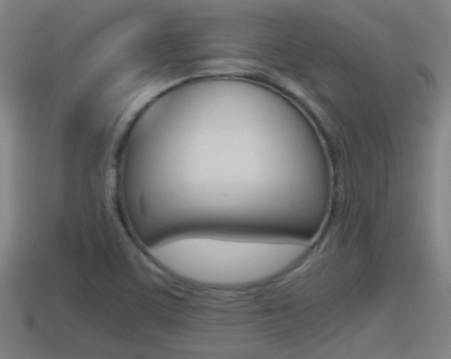 X0000114411459200910161021