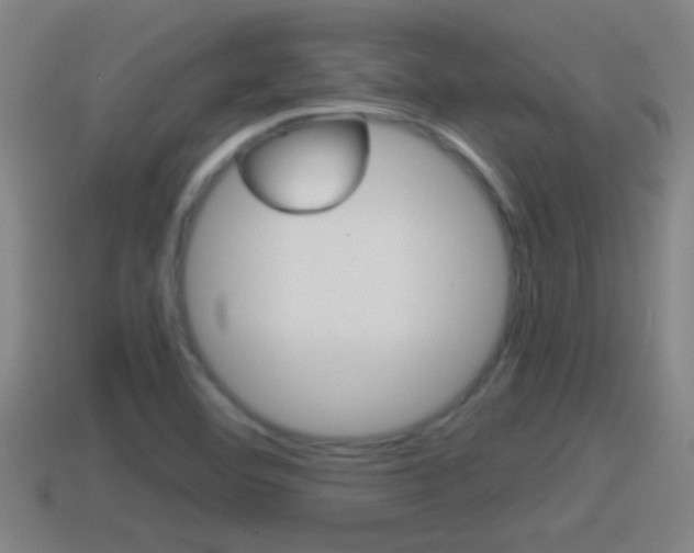 X0000114411460200910161021