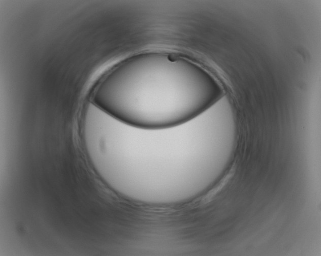 X0000114411461200910161021