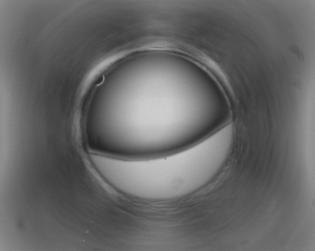 X0000114411464200910161021