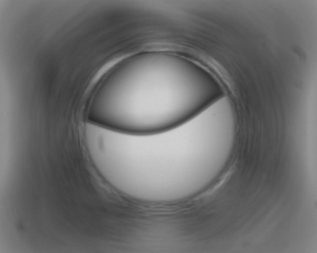 X0000114411465200910161021
