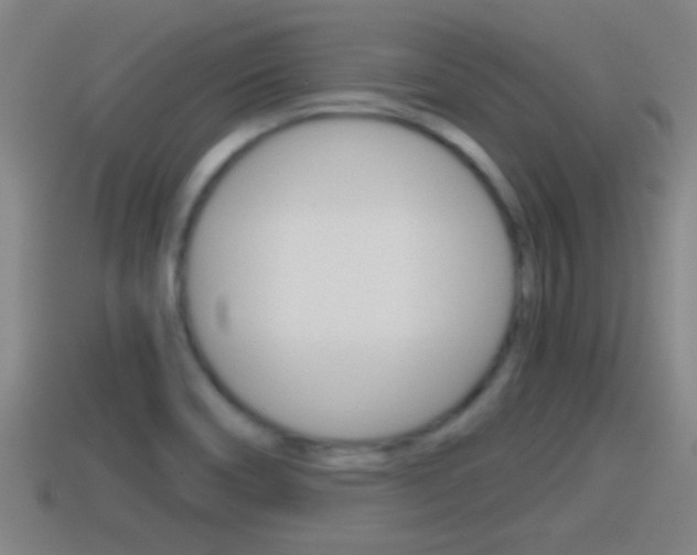 X0000114411466200910161021